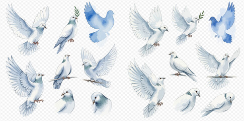 A collection of watercolor white and blue doves in various poses, including flying, perched, and holding an olive branch, on a transparent background. © studio