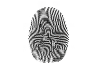 Detailed illustration of a single vibrant green leaf with intricate vein patterns and dew drops isolated on transparent background