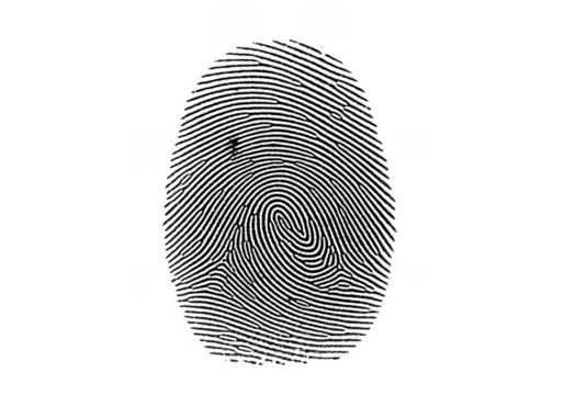 Detailed illustration of a single vibrant green leaf with intricate vein patterns and dew drops isolated on transparent background