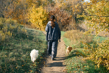 Back view of young woman walking with her dogs in autumn forest.