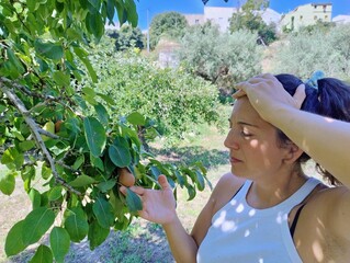 Woman Examining Pear Tree in Summer Orchard