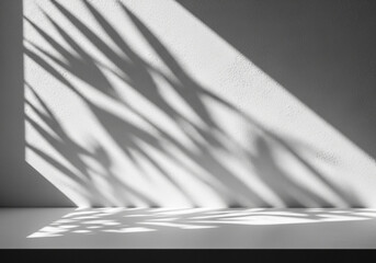 Shadows of palm leaves cast on a white wall and floor, creating a minimalist and serene atmosphere