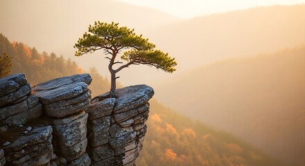 Lone pine tree clinging to a rocky cliff face at sunrise