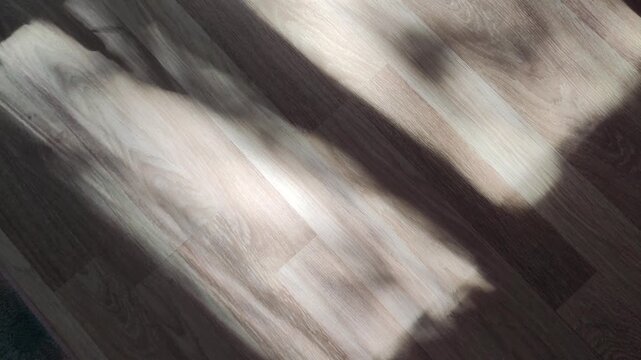 Bright rays form geometric patterns across a textured surface. The view suggests clarity, balance, and artistic simplicity.