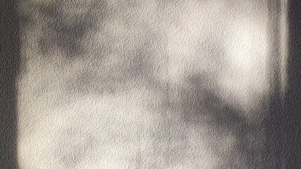 Soft gradients of light fall across a clean interior wall. The scene captures stillness, purity, and a refined aesthetic.