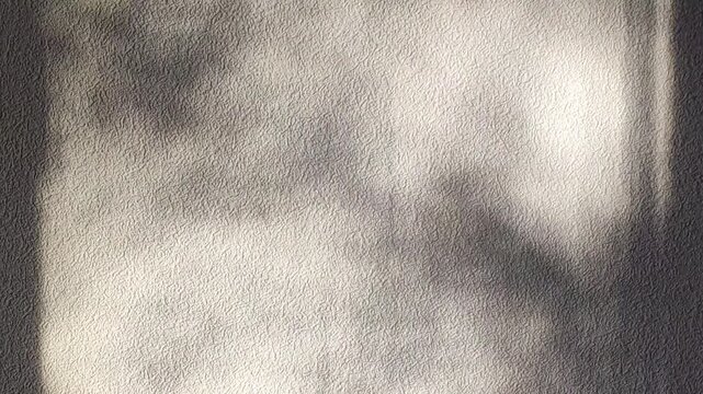 Soft gradients of light fall across a clean interior wall. The scene captures stillness, purity, and a refined aesthetic.