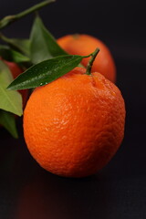 Primo piano di Clementina con foglia su sfondo nero