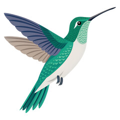 Obraz premium Single hummingbird simplified form, clean shape, minimal detailing, isolated on transparent background