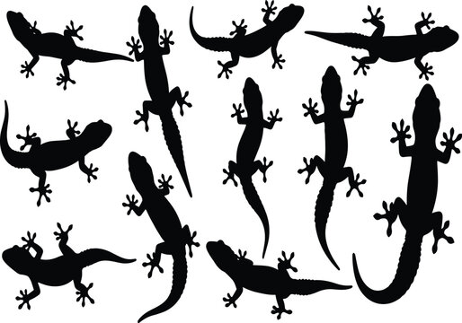 Rat silhouette set. Vector collection of isolated black mice illustrations. Rodent icons for design, pest control, or logo elements.