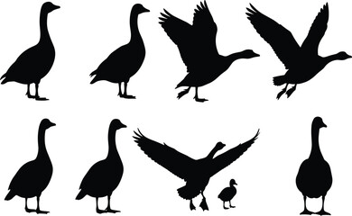 Obraz premium Set of Wild Goose and Gosling Silhouettes in Flight and Standing Poses Vector Illustration