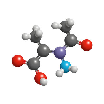N-Acetylaspartic acid molecule 3D ball and stick model on white background.