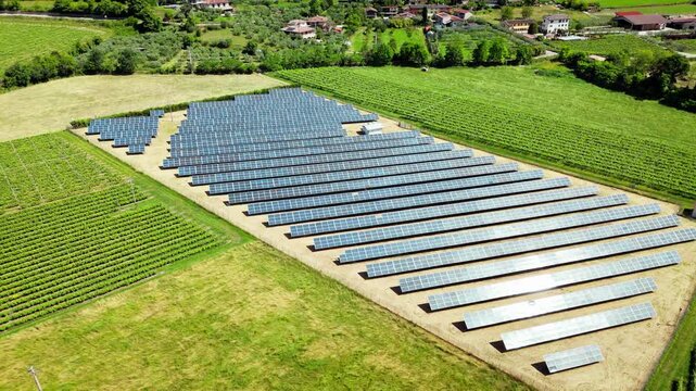 Solar panels in grape rows in Italian farmland, drone footage. Renewable energy deployment and modernization of rural power mix