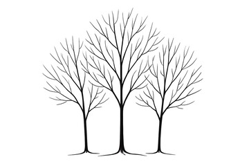 Three bare deciduous trees in a row with intricate branches
