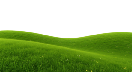A vibrant green grassy field with gentle rolling hills under a dark sky with a black background
