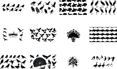 Diverse bird silhouettes collection birds flock