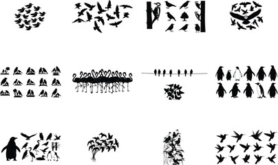 Diverse bird silhouettes in various poses and groups