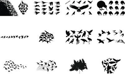 Diverse collection of bird silhouettes birds flying