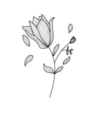 hand drawn flower