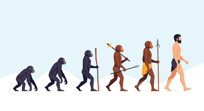 Illustration of human evolution from ape-like ancestors to modern man.