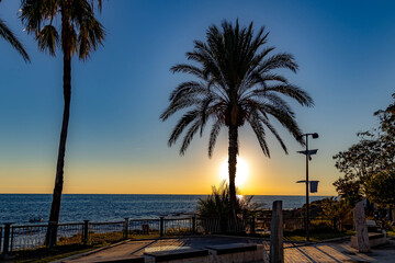 A palm tree silhouette against gradient sunset sky over the Mediterranean Sea from Side's empty promenade, capturing the tranquil end of tourist season. Antalya, Turkey.