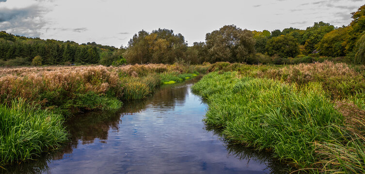Chess Valley walk following the River Chess in the
Chilterns Area of Outstanding Natural Beauty.  The walk starts from Rickmansworth Station and
finishes at Chesham Station.