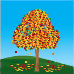 Maple Tree in Autumn Vector Illustration