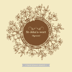 Frame of Hypericum or St. John’s wort