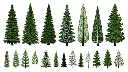 Stylized Evergreen Tree Collection in Grid Layout on Cream Background – Botanical Illustration Set