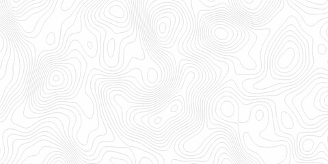 White wave paper curved reliefs abstract background, Abstract topographic contours map background. digital topographic contour map concept space geometric strip grid line. Natural discovery of maps.