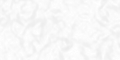 White wave paper curved reliefs abstract background, Abstract topographic contours map background. digital topographic contour map concept space geometric strip grid line. Natural discovery of maps.