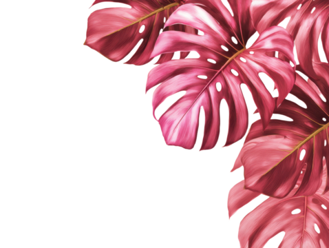 Pink Monstera Leaf Frame Border Decorative Element Isolated on Transparent Background With Beautiful Exotic Flora For Greeting Card Invitation Or Banner Exact 200 Chars - Powered by Adobe
