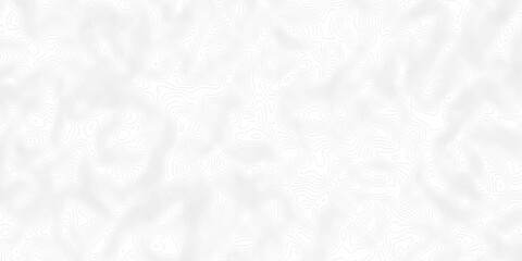 White wave paper curved reliefs abstract background, Abstract topographic contours map background. digital topographic contour map concept space geometric strip grid line. Natural discovery of maps.