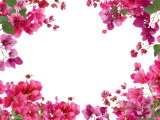 Floral Bougainvillea Frame with Vivid Pink Blooms and Lush Green Leaves Creates Striking Border on Transparent Canvas Ideal for Invitations 200 Chars