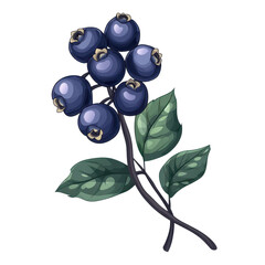 Clipart of a blueberry, showcasing its round shape and vibrant blue color, isolated on transparent background