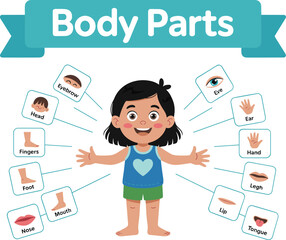 Cute educational body parts chart for kids featuring labeled girl anatomy illustration, preschool learning poster for early childhood classroom teaching