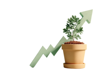 A small potted plant sits beneath a rising arrow graph, suggesting growth