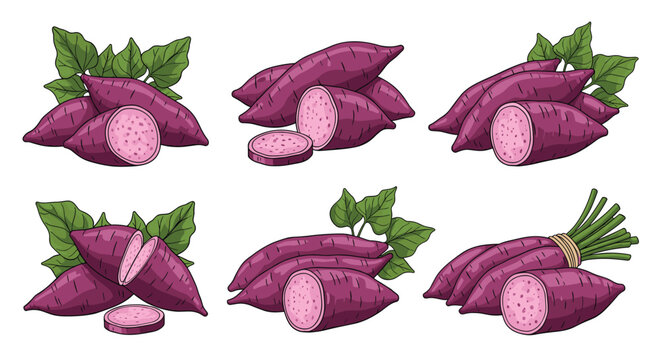 Collection of purple sweet potatoes with green leaves and slices, presented in various arrangements.