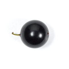 Isolated Blackcurrant Berry with Stem on White