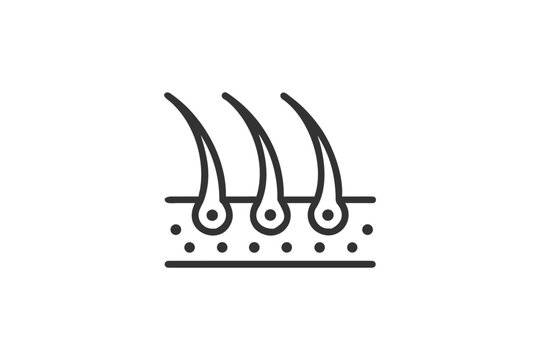 Outline Hair Follicle Anatomy Icon Representing Hair Growth Dermatology Science and Health