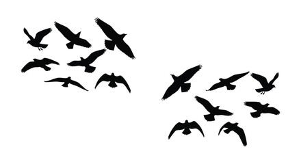 A flock of silhouetted birds in flight against a white background