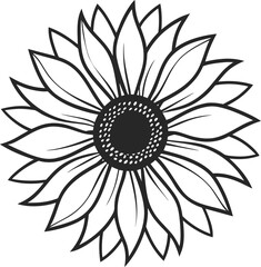 Sunflower line art illustration Vector
