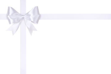 White Bow and Crossed Ribbon Isolated on White and Png Transparent Background, Clipping Path Included