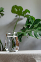 A glass of water sits on a table covered with natural linen, with green leaf background.
