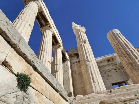 A warm's eye photography of the Propylaia, the classical Greek Doric building complex that functioned as the monumental ceremonial gateway to the Acropolis of Athens.
