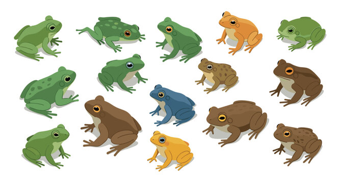 Colorful collection of frogs and toads in flat style on white background