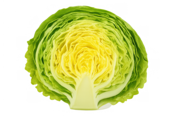 Half fresh green vegetable, a cross-section of crisp lettuce presenting healthy food, cooking ingredients, and natural produce