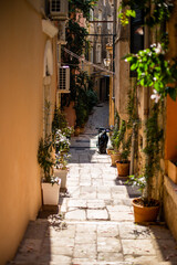 Fototapeta premium street in the old town of Greece