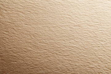 441. paper texture with subtle grain for design, warm tone, controlled studio lighting, ample space for text on the right, brand-safe, no logos