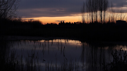 Serene sunset reflection over a calm pond surrounded by silhouettes of trees
