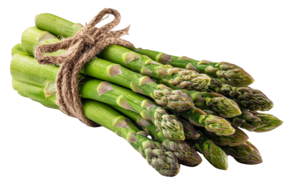 Fresh asparagus bundle with natural texture, isolated on transparent background, realistic lighting, healthy food concept